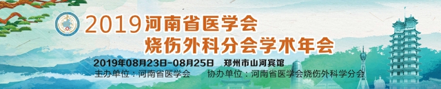 2019年河南省医学会烧伤外科分会学术年会