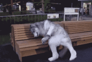 1567847127136556.gif 微信图片_20190907170353.gif