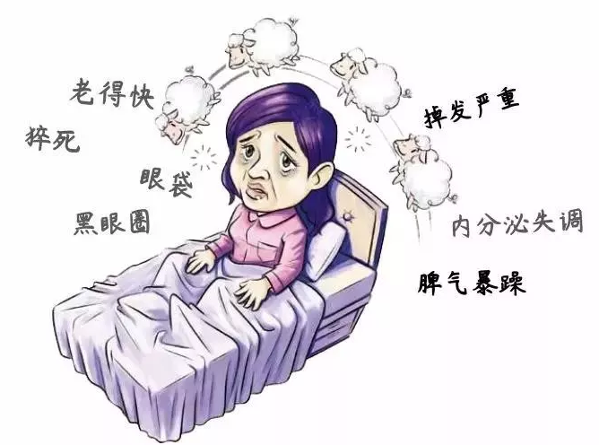 睡不着看这里