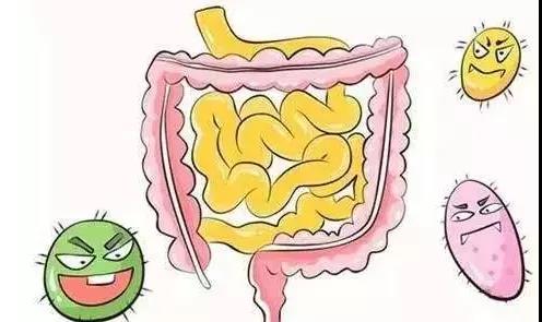 河南省卫生健康委提醒: 洪涝灾害后预防细菌性痢疾